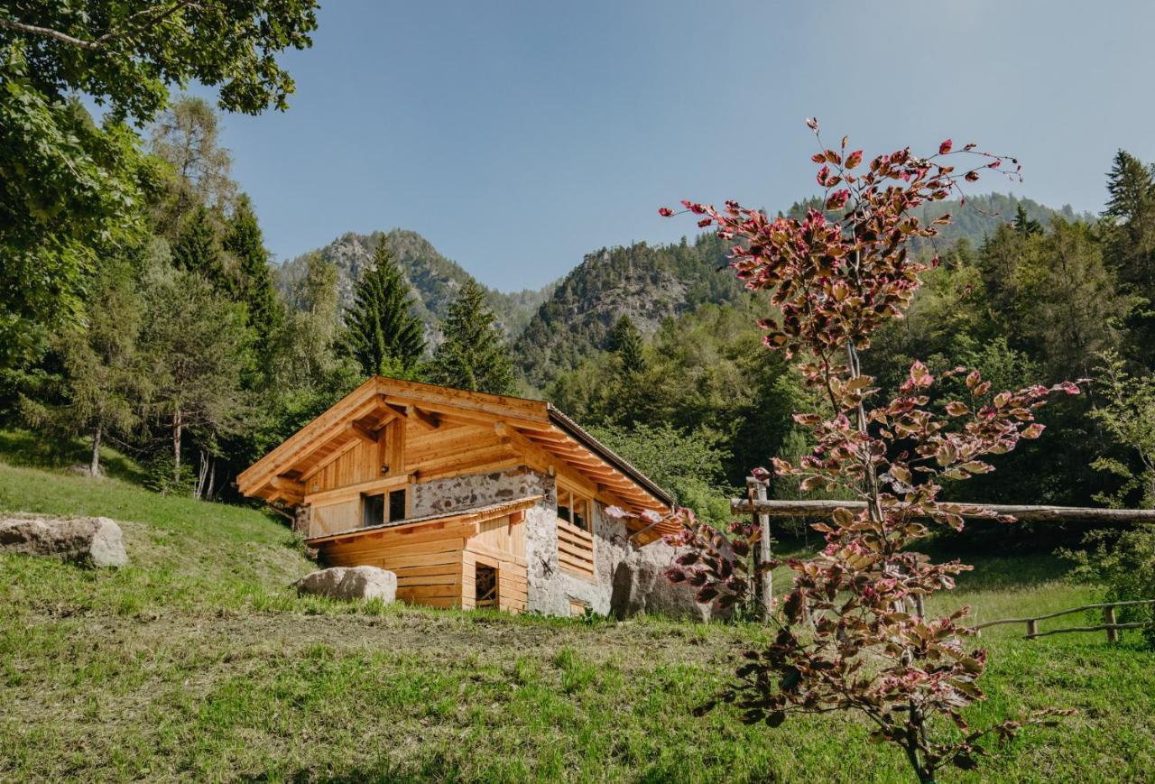 Odomi Maso Nel Bosco Villa Sant'Orsola Kültér fotó